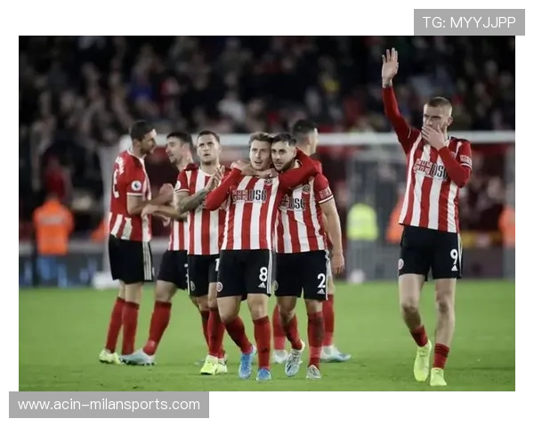 布伦特福德与纽卡斯尔联过往对阵回顾及最新赛事前瞻分析 布伦特福德与纽卡斯尔联过往对阵回顾及最新赛事前瞻分析