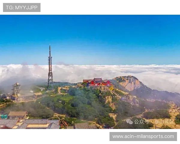 泰山换血或见成效:新举措助力品牌焕发新生 泰山换血或见成效:新举措助力品牌焕发新生